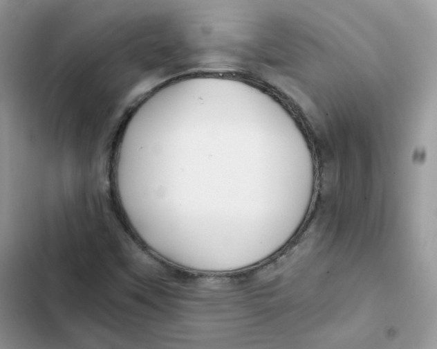 X0000101951451200808151242