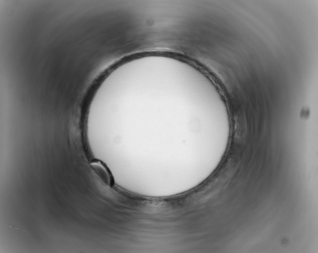 X0000101951452200808151242