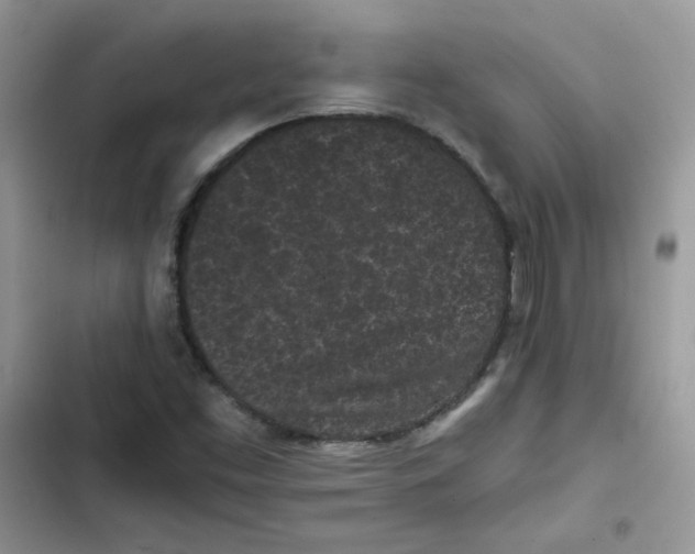 X0000101951453200808151242