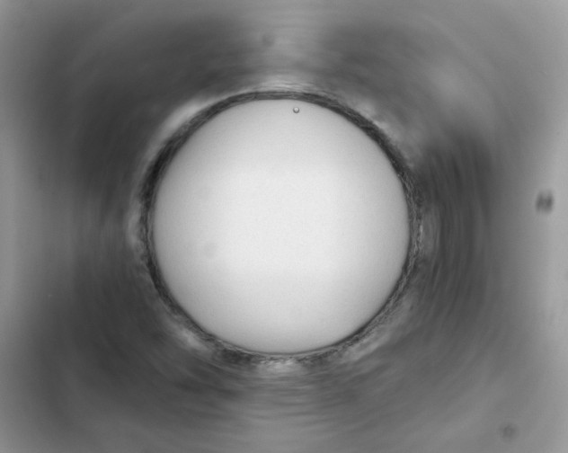 X0000101951454200808151242