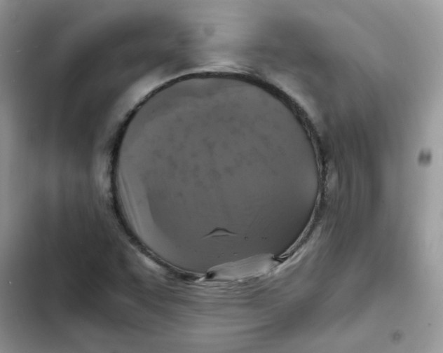 X0000101951455200808151242