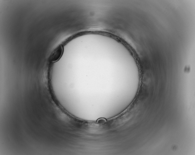 X0000101951456200808151242