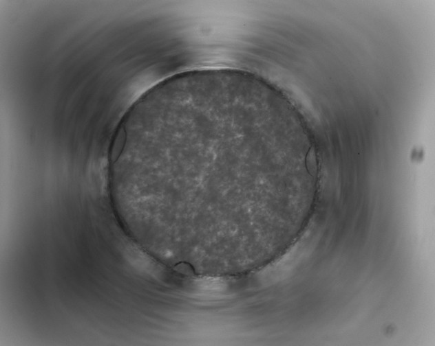 X0000101951457200808151242