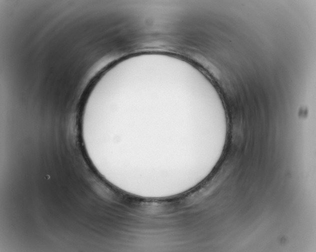 X0000101951458200808151242