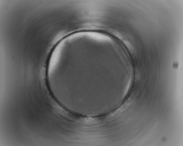 X0000101951459200808151242