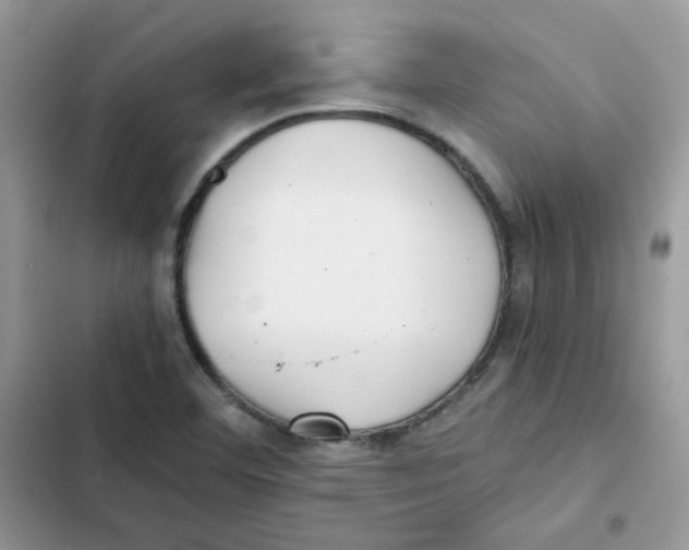 X0000101951460200808151242