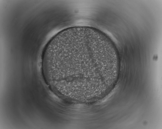 X0000101951461200808151242