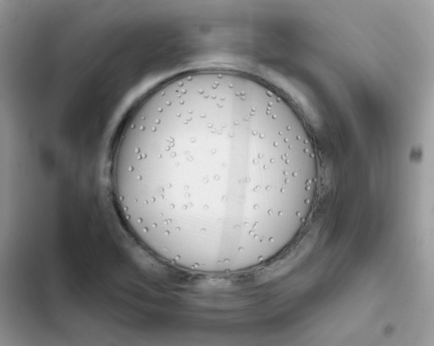 X0000101951462200808151242