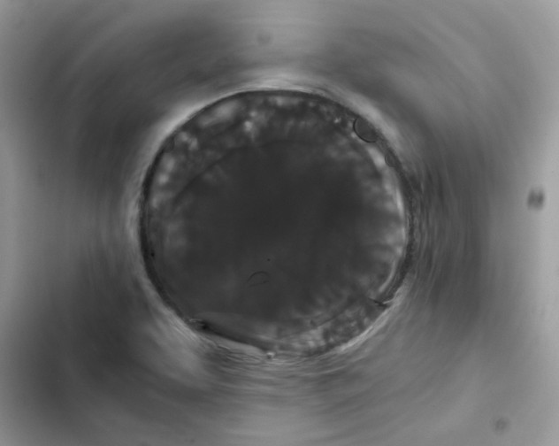X0000101951463200808151242