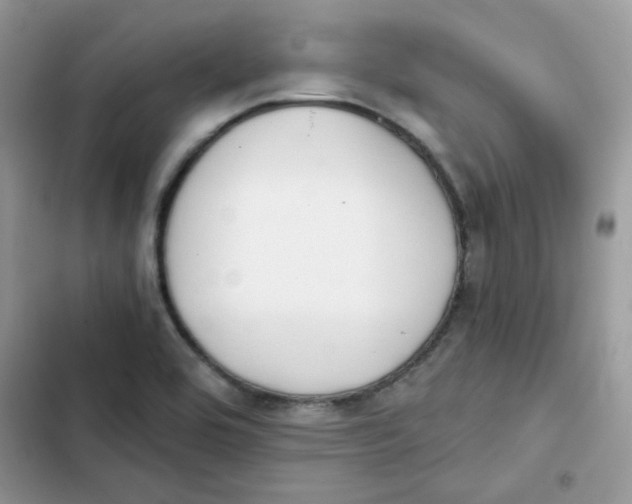 X0000101951464200808151242