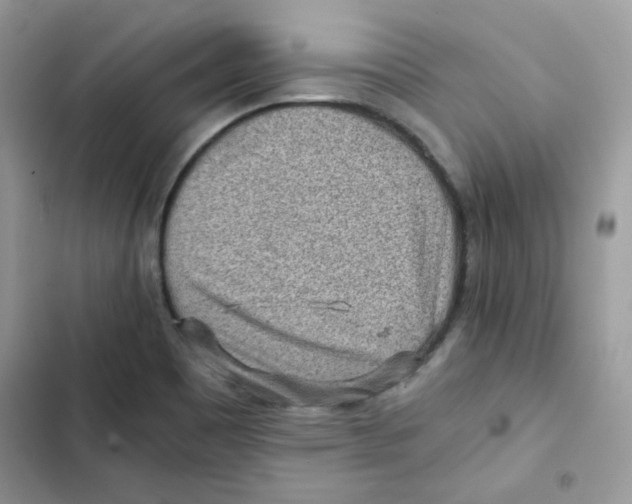 X0000101951465200808151242