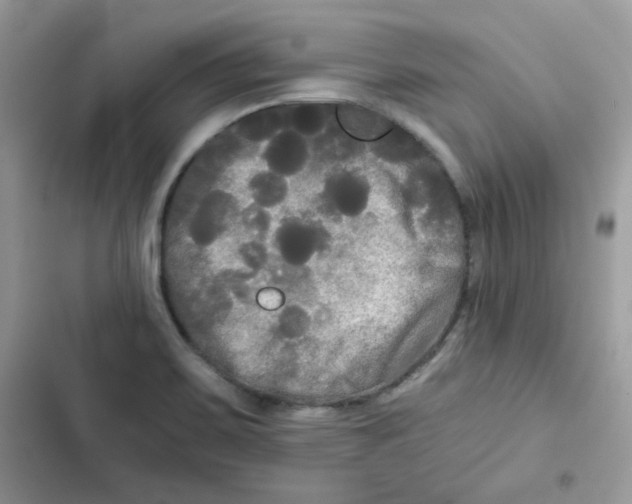 X0000101951467200808151242
