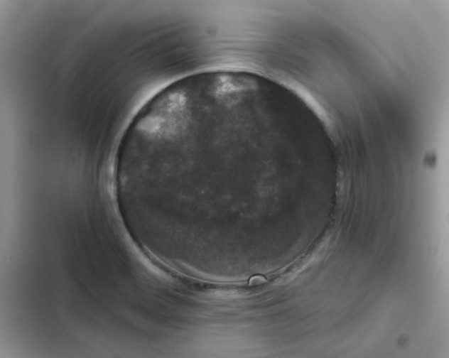 X0000101951468200808151242