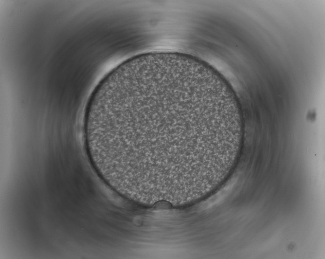 X0000101951469200808151242