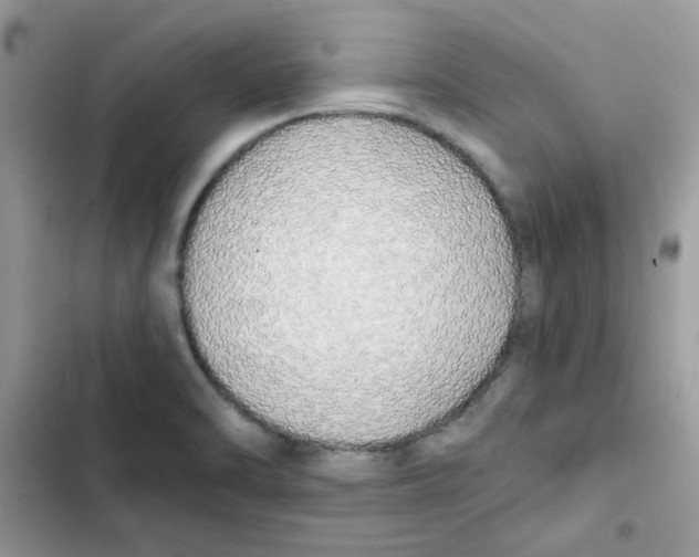 X0000101951470200808151242