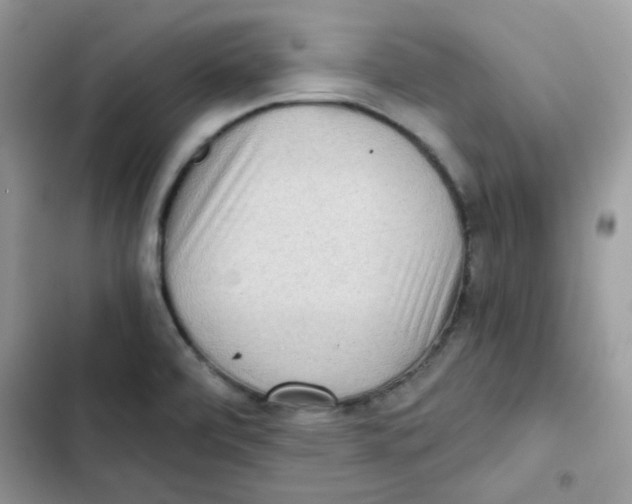 X0000101951472200808151242