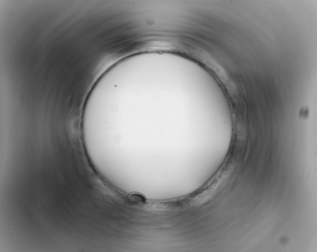 X0000101951473200808151242