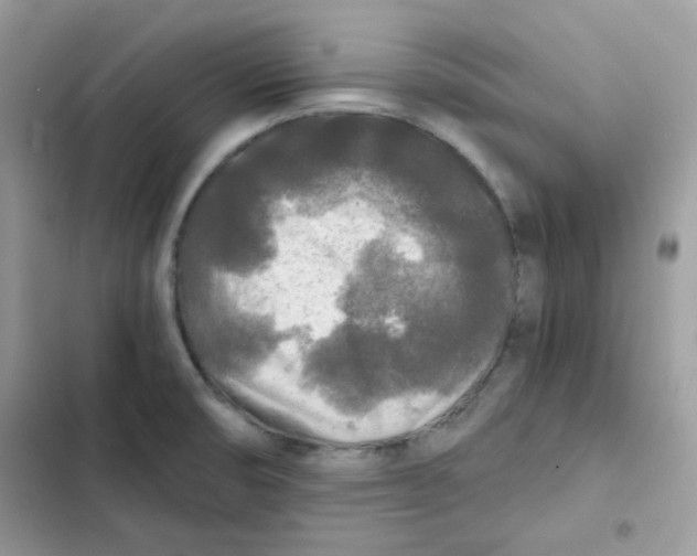 X0000101951474200808151242