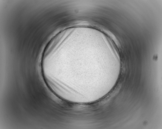 X0000101951475200808151242