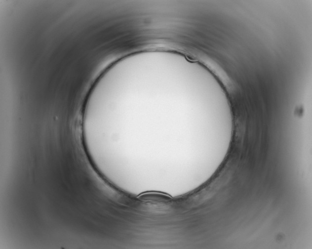 X0000101951476200808151242