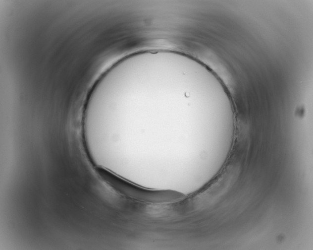 X0000101951477200808151242
