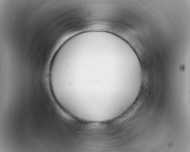 X0000101951478200808151242