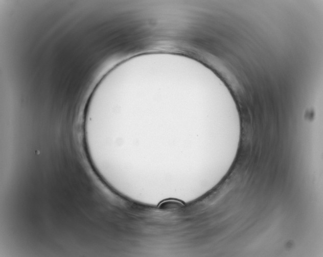 X0000101951479200808151242