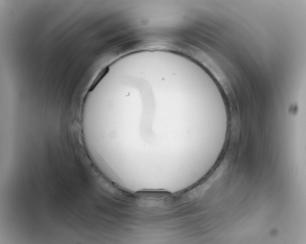 X0000101951481200808151242