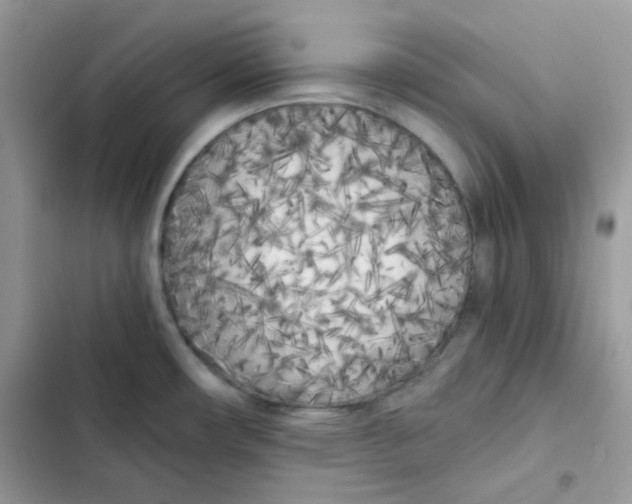 X0000101951482200808151242