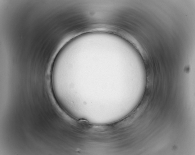 X0000101951483200808151242