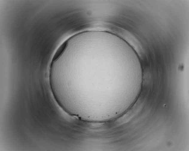 X0000101951484200808151242