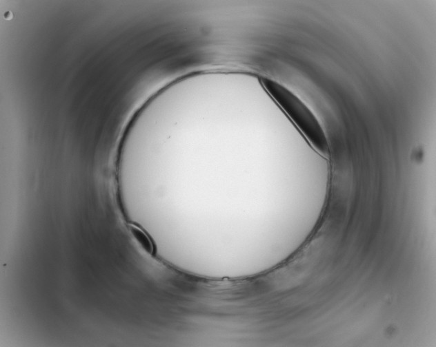 X0000101951485200808151242