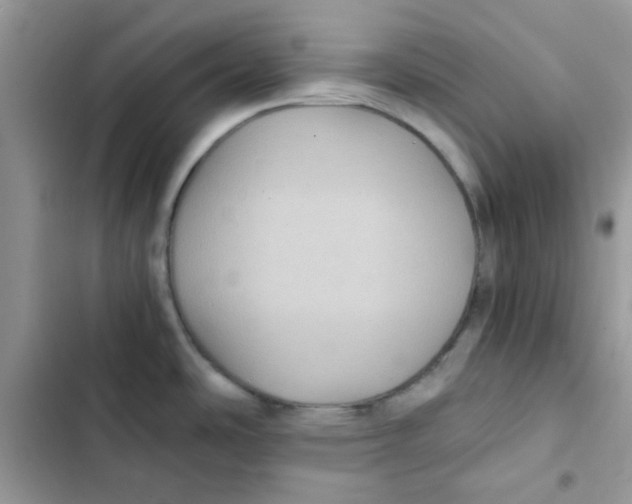X0000101951486200808151242