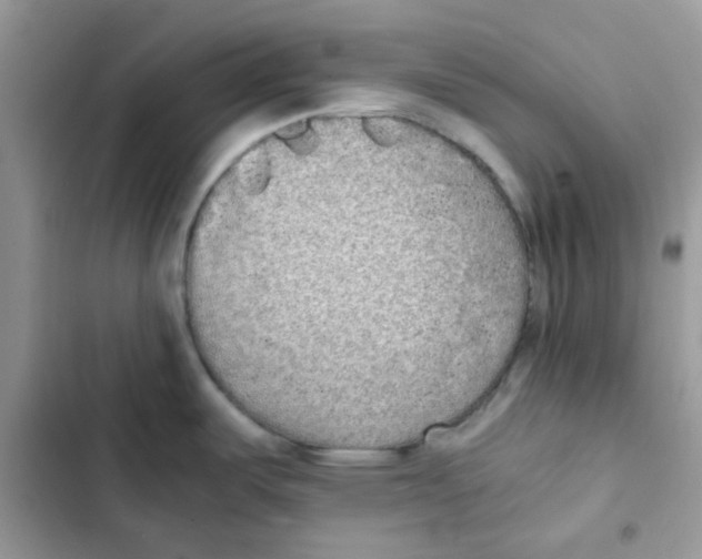 X0000101951487200808151242