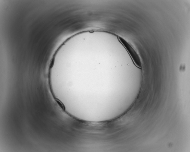 X0000101951488200808151242