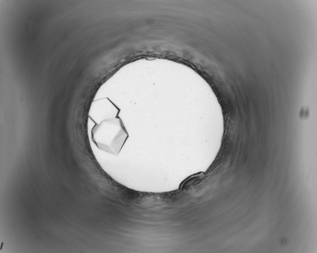 X0000101951489200808151241
