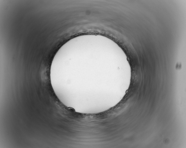 X0000101951490200808151241