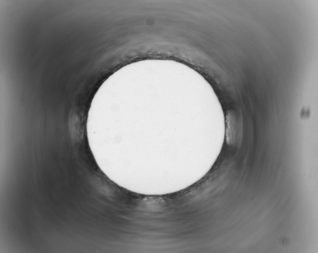 X0000101951491200808151241
