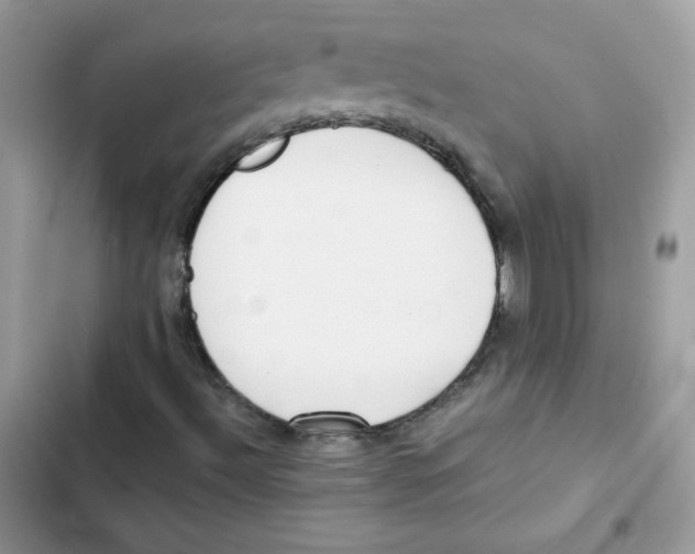 X0000101951492200808151241