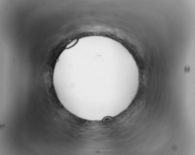 X0000101951493200808151241
