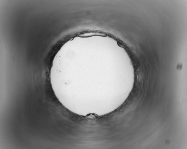 X0000101951495200808151241