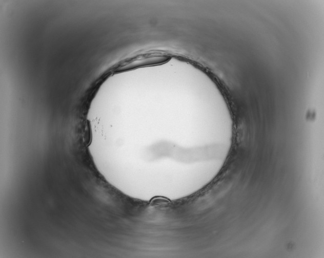 X0000101951496200808151241