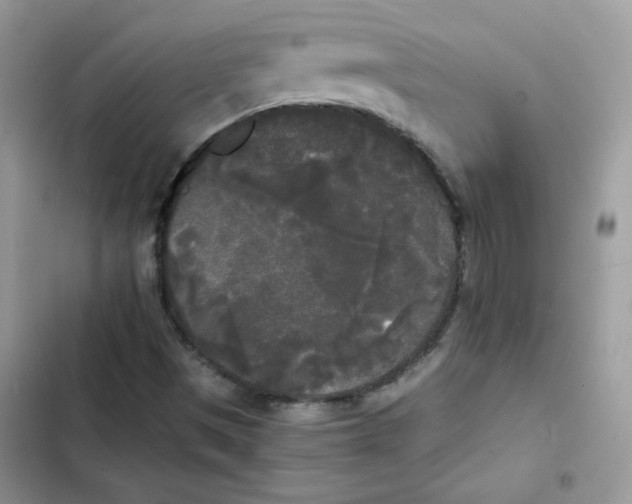 X0000101951497200808151241