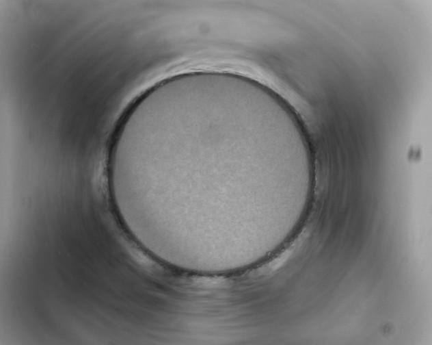 X0000101951498200808151241