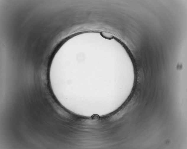 X0000101951499200808151241
