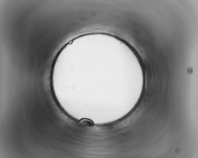 X0000101951500200808151241