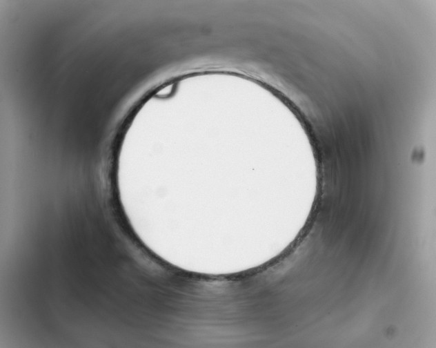 X0000101951502200808151241