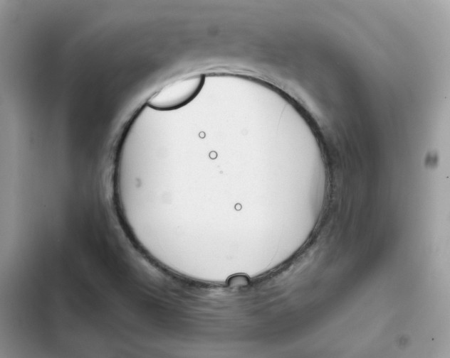 X0000101951504200808151241