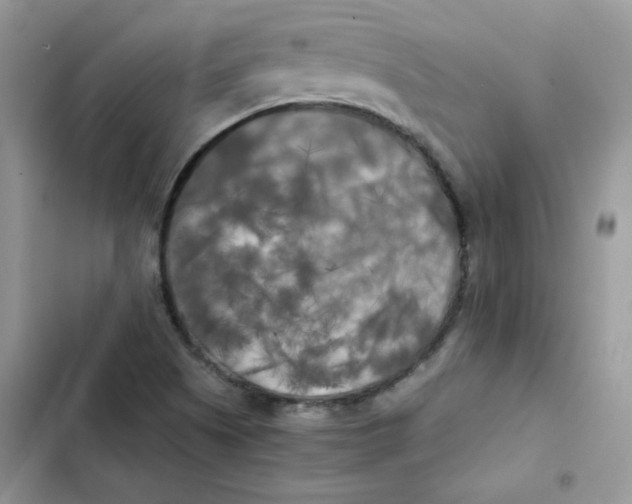 X0000101951505200808151241