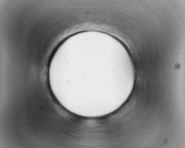 X0000101951507200808151241